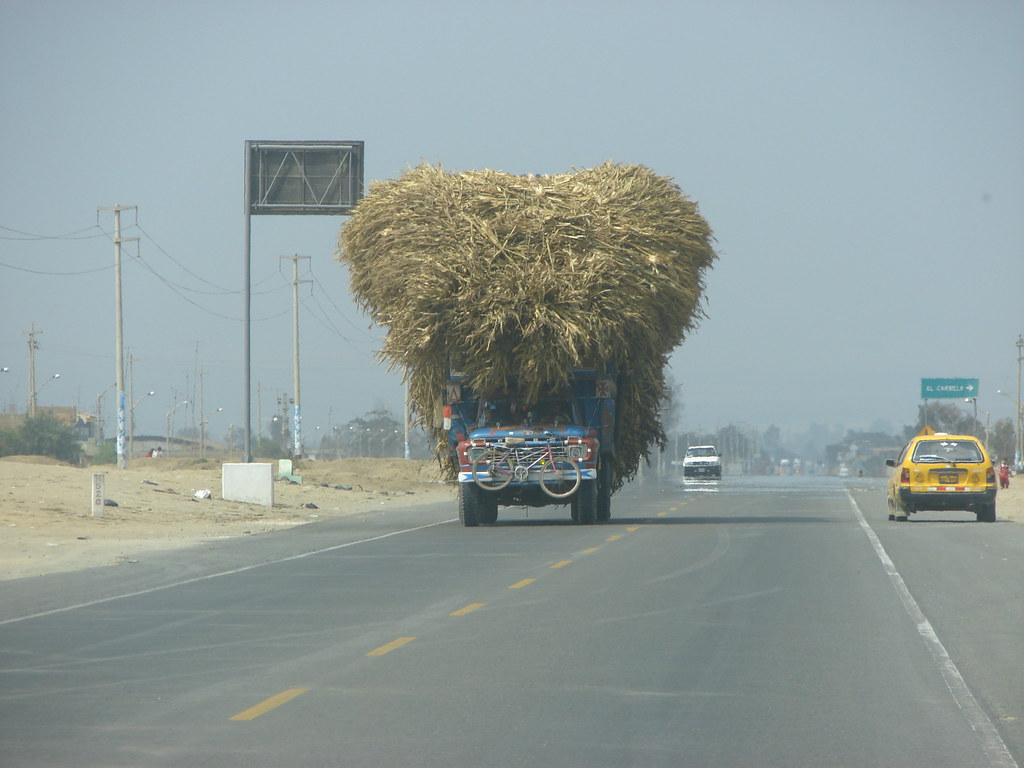 Afro Camionero en Peru — foto de Juan Peláez