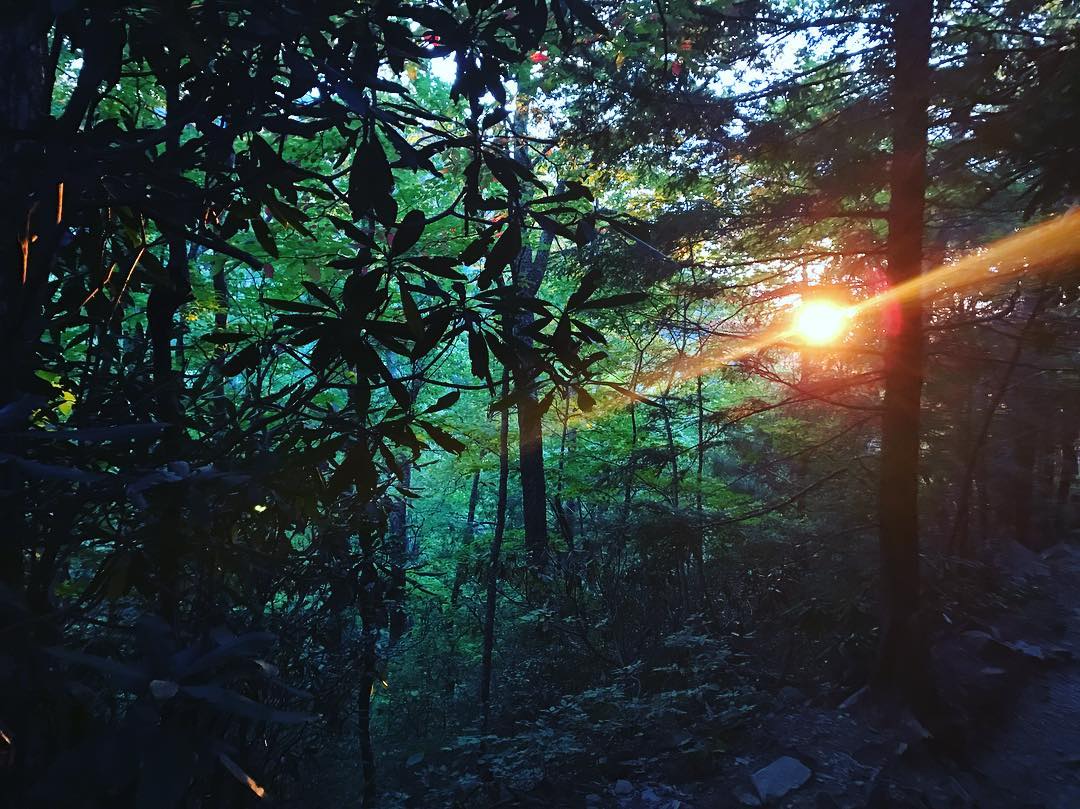 Sun Ray — foto de Juan Peláez