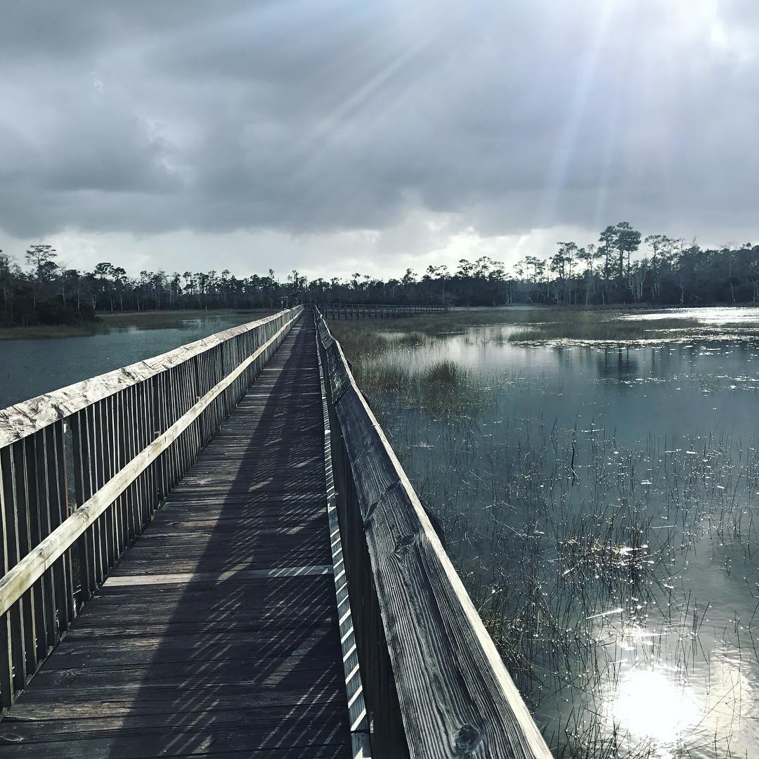 Bridge at WetLand — foto de Juan Peláez