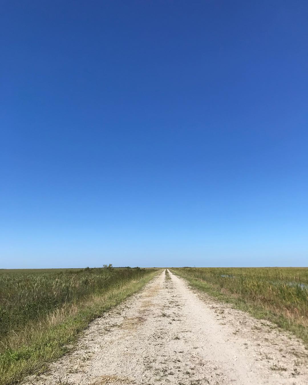 Blue Sky — foto de Juan Peláez