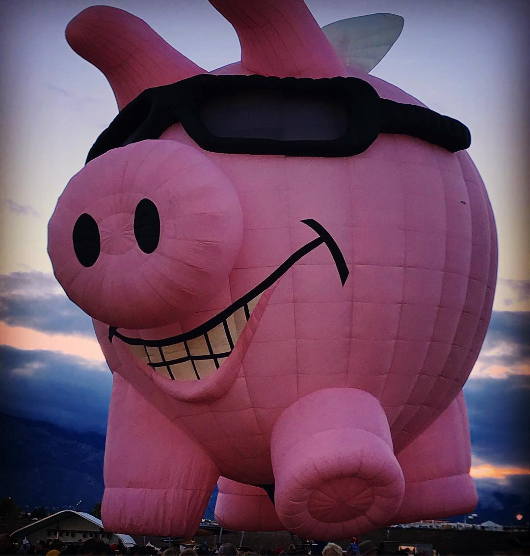 Big Happy Pig — foto de Juan Peláez