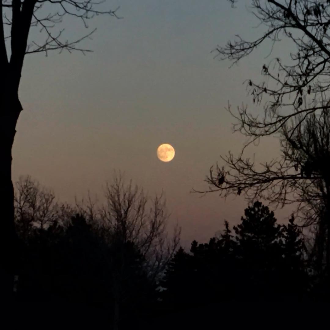Moon Rabbit — foto de Juan Peláez