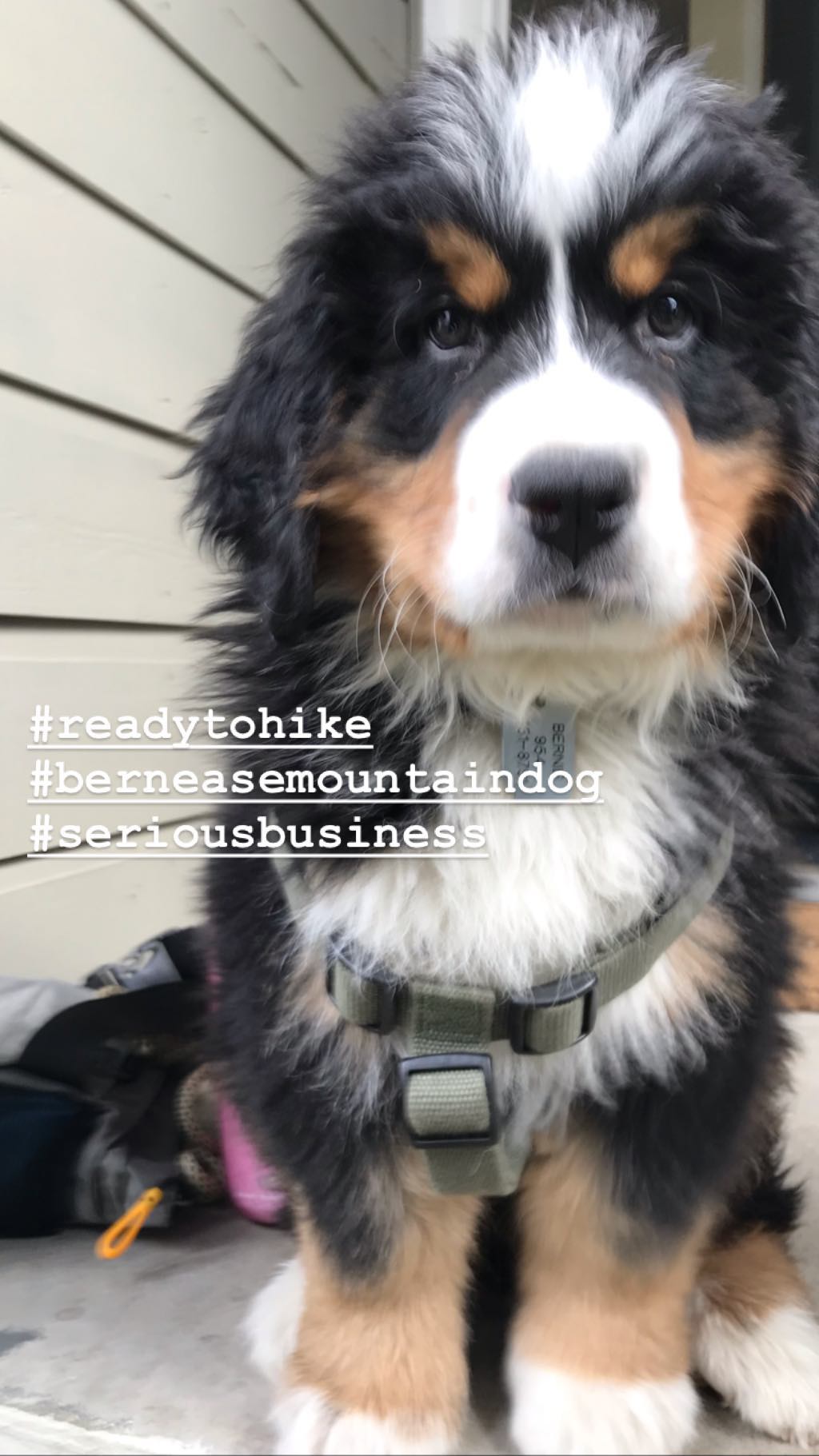Historia de Instagram — foto de Juan Peláez
